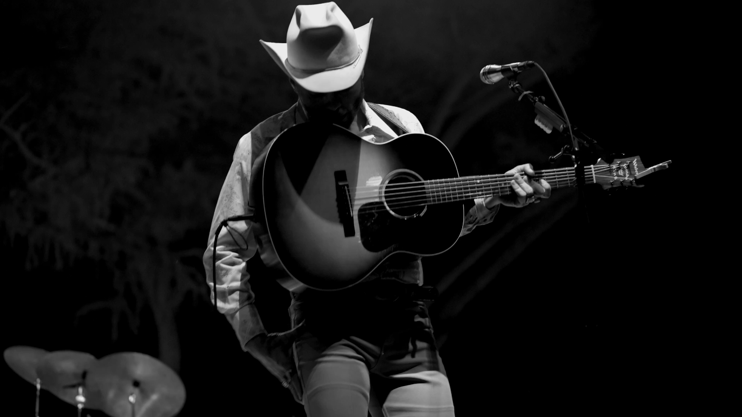 Live Music, frame 2 by Reese Reissig